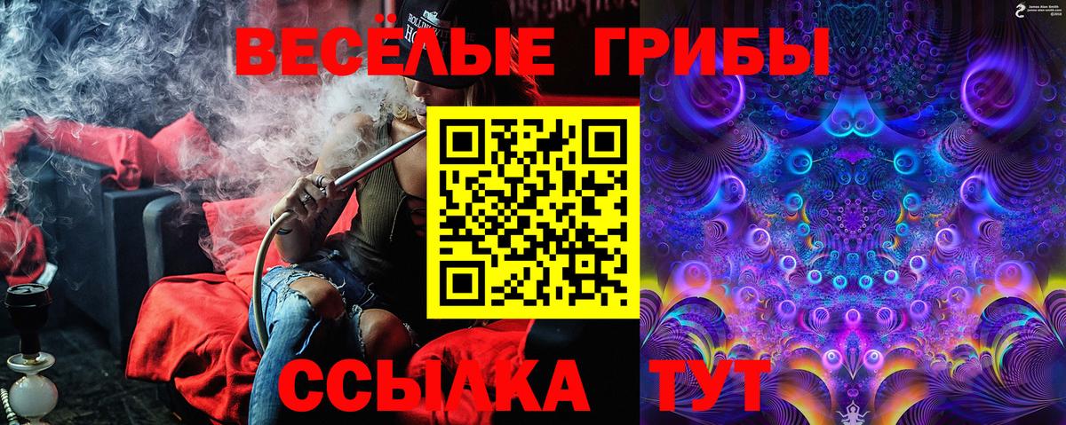 Псилоцибиновые грибы Psilocybine cubensis Пыть-Ях